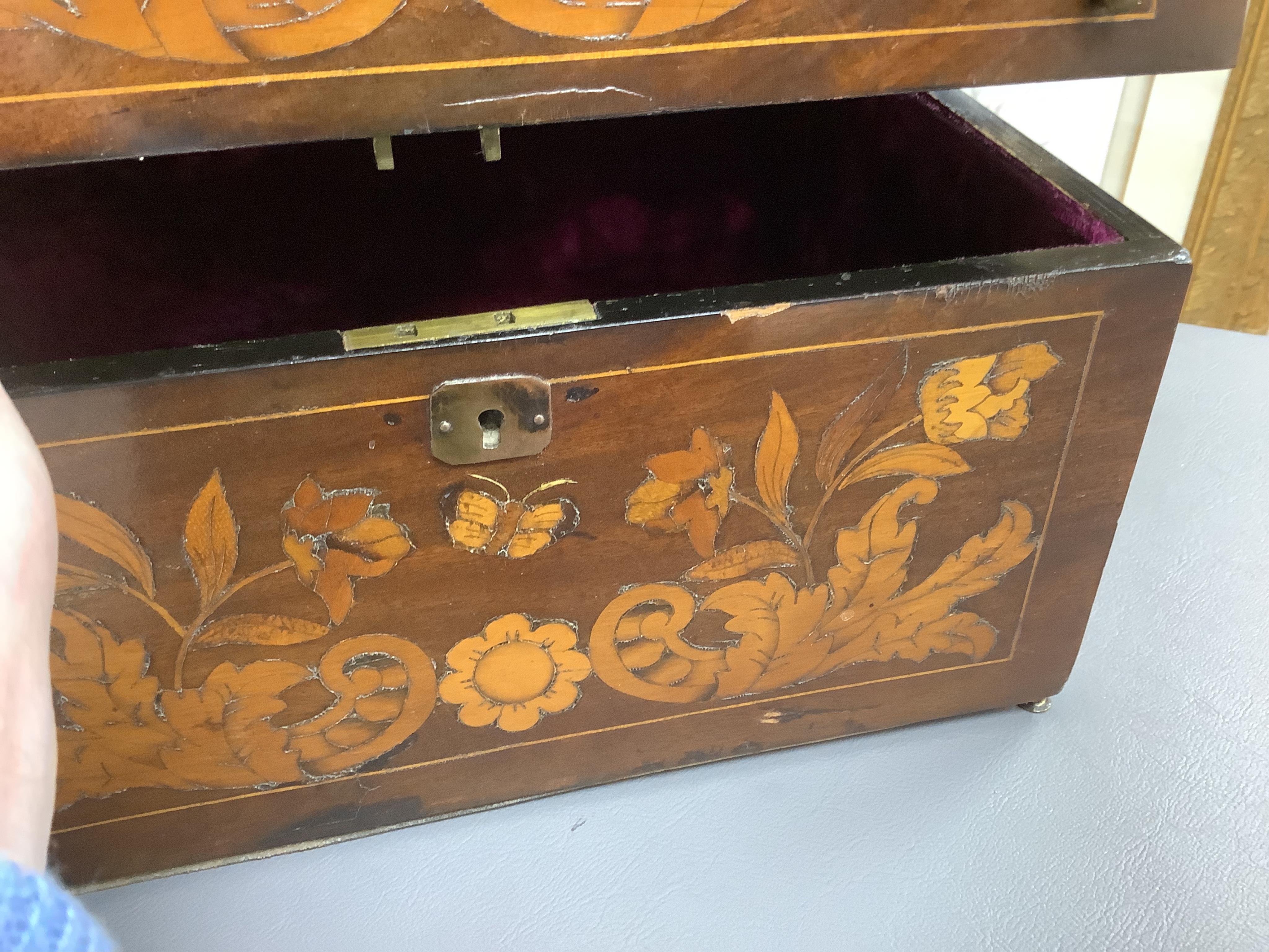 A 19th century Dutch, dome fronted, marquetry mahogany decanter box, velvet lined, 28cm wide